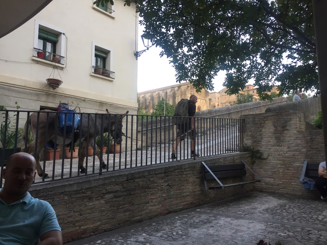 Day 5 Estella and Pilgrim