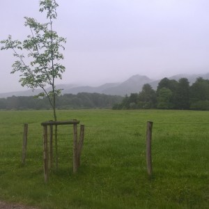 InstagramCapture_bd5dd01d-0755-410b-8693-db8037f457c7