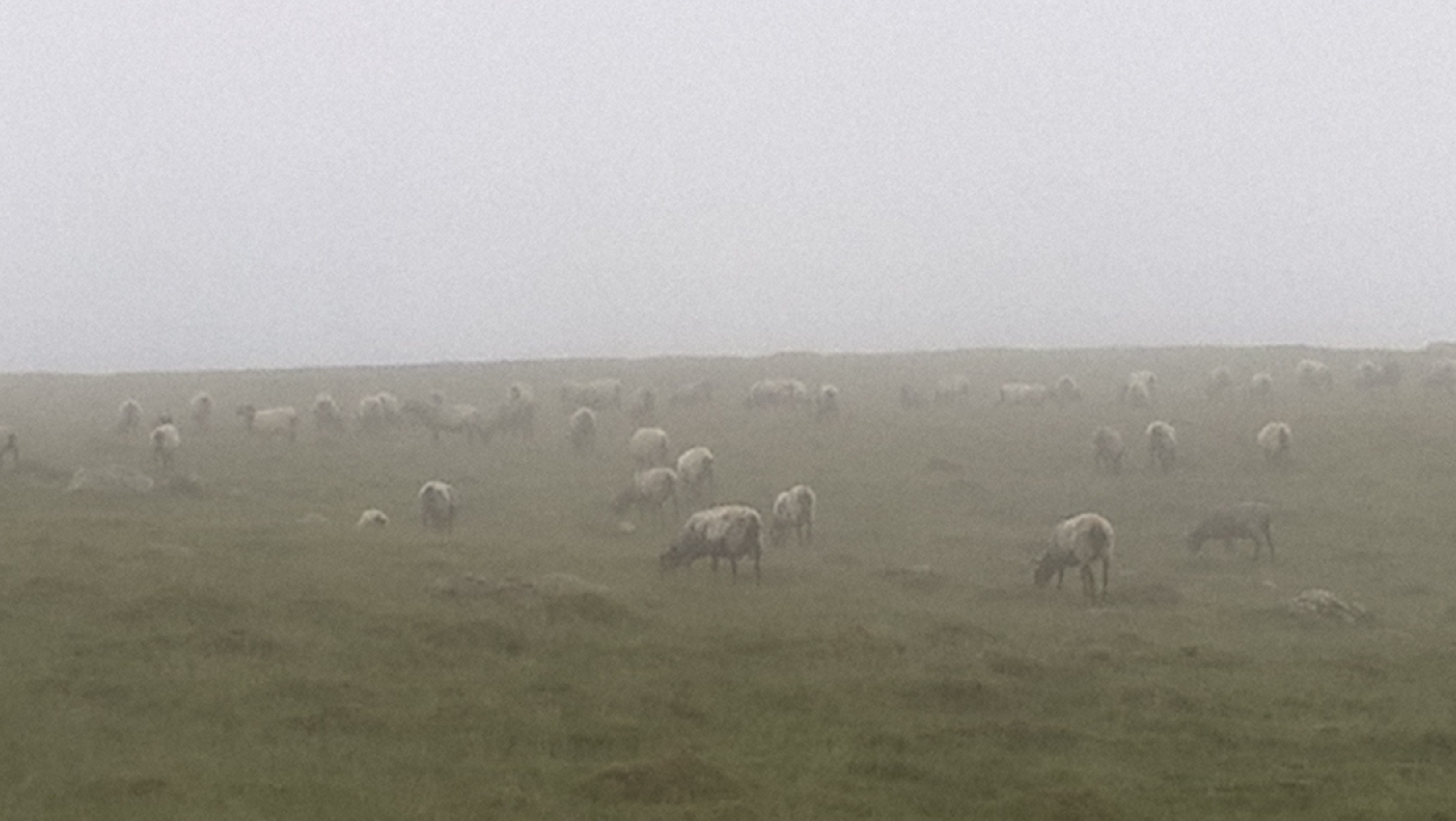 WP_20170603_06_57_27_Pro