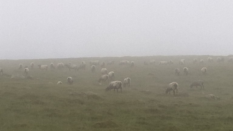 WP_20170603_06_57_27_Pro