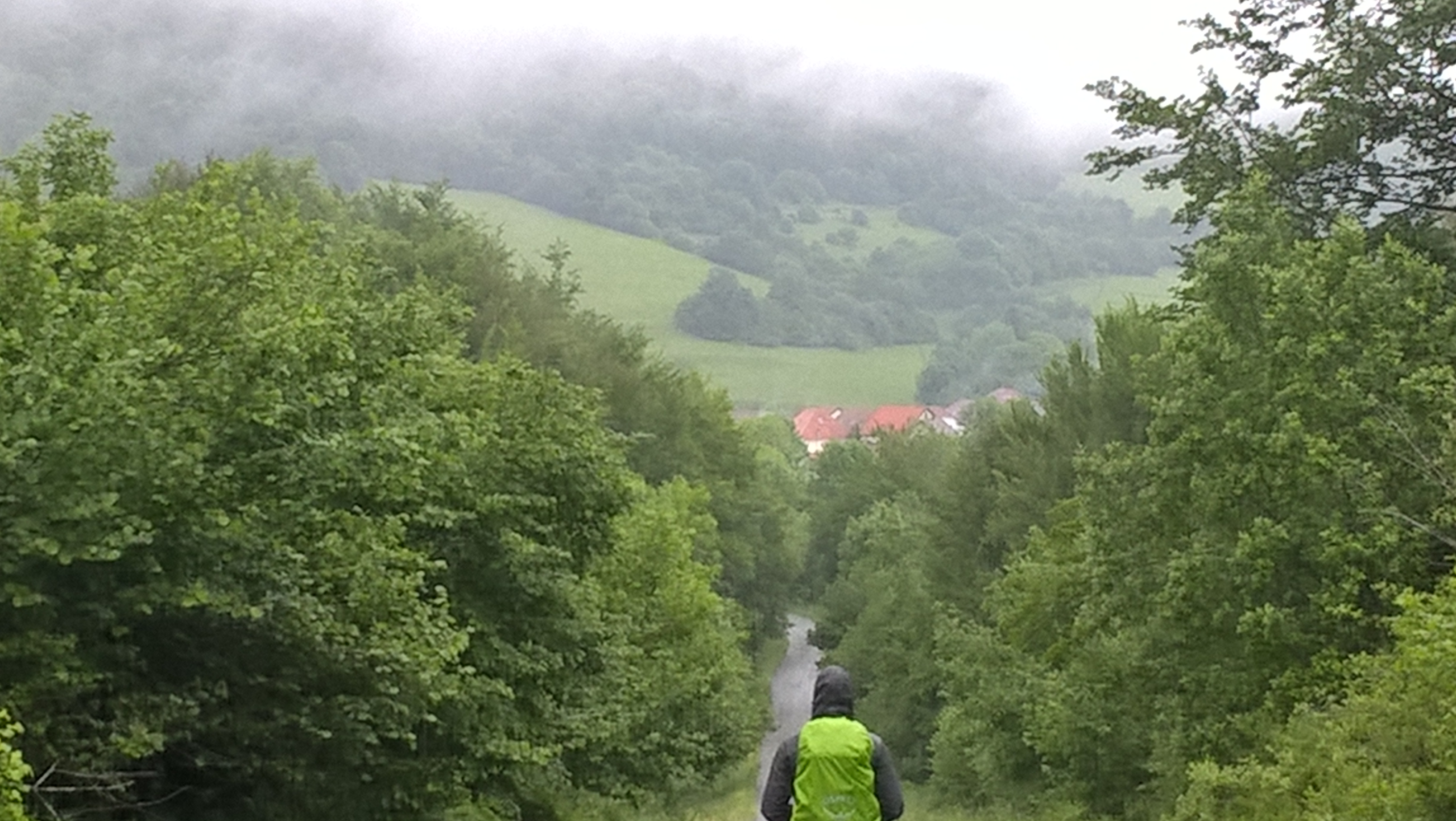 WP_20170604_07_05_16_Pro