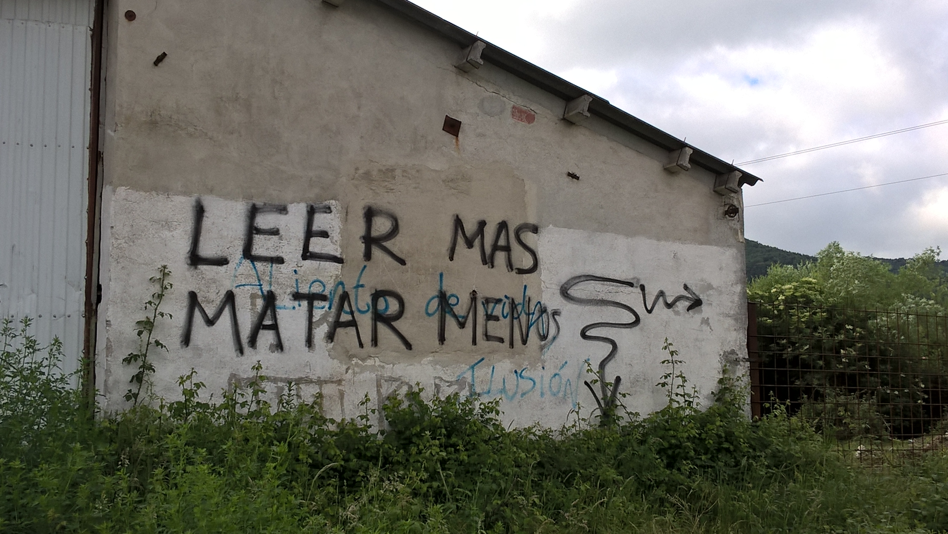 WP_20170605_04_34_16_Pro