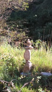 WP_20170607_03_17_44_Pro