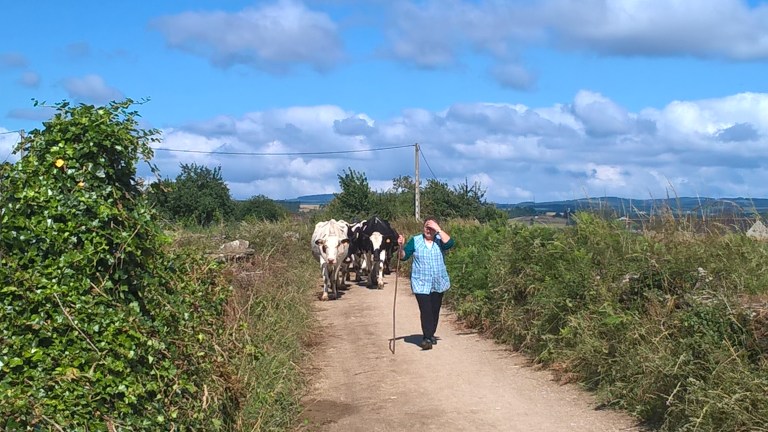 Camino de Santiago Sharing the Trail