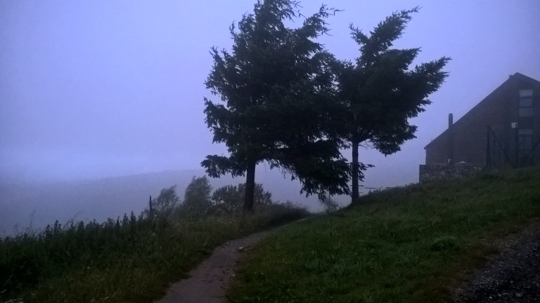 Camino - O'Cebreiro, Galicia, Spain