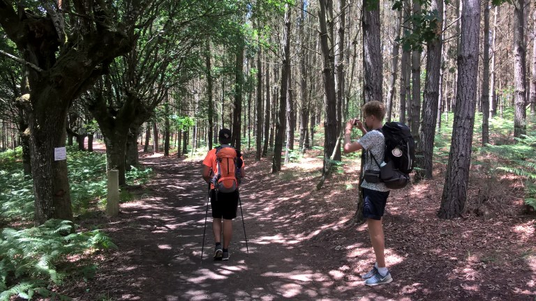 Camino Trail out of Portomarín