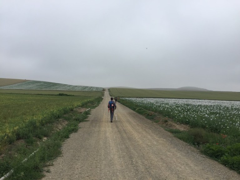 Day 11 Trail to Belorado