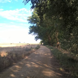 InstagramCapture_48c780b2-72b1-4c4b-890f-031249eeacfe