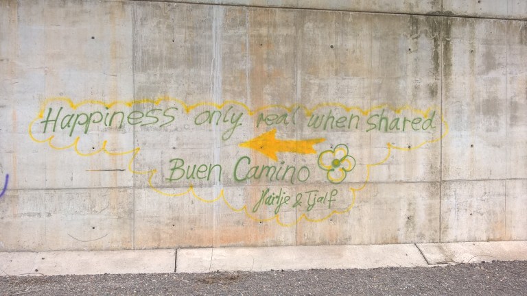 WP_20170613_02_09_55_Pro 1