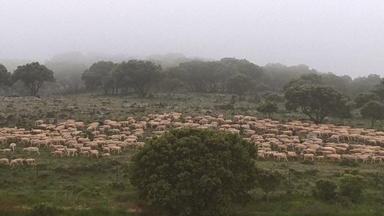 WP_20170615_02_46_41_Pro