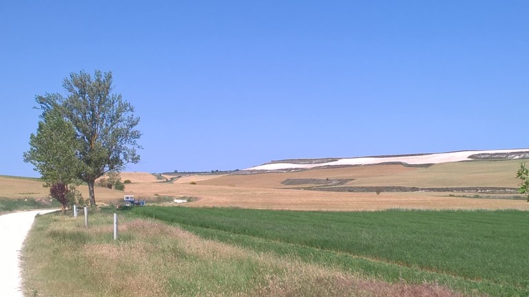 WP_20170616_06_02_57_Pro