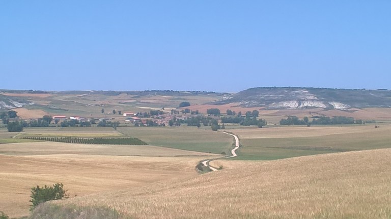 WP_20170616_07_06_50_Pro