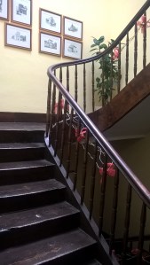 WP_20170619_08_46_09_Pro 1