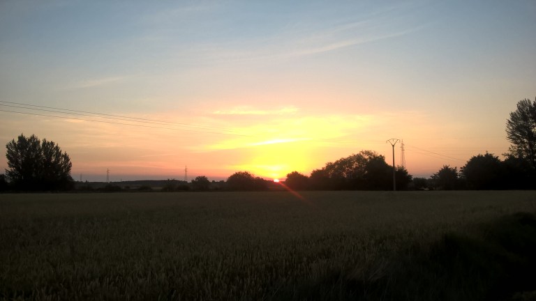 WP_20170620_00_48_43_Pro