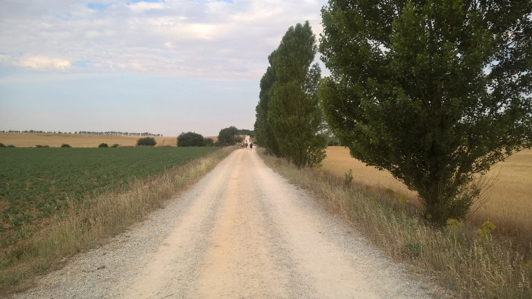 WP_20170620_03_15_38_Pro