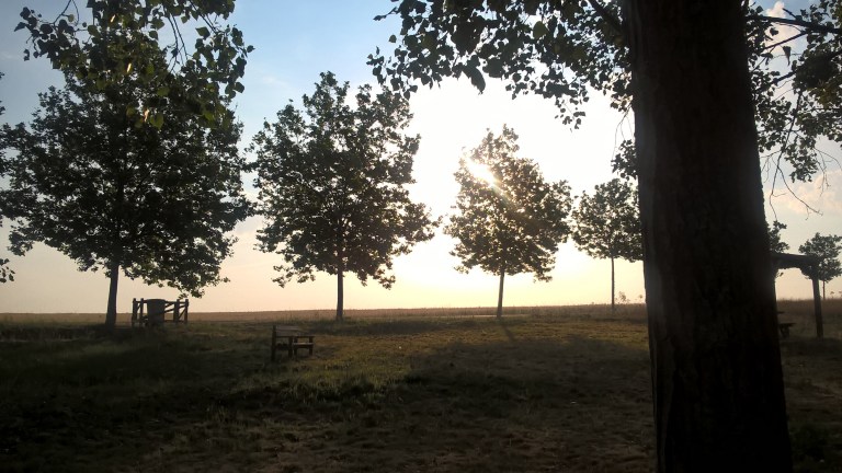 WP_20170622_02_16_07_Pro