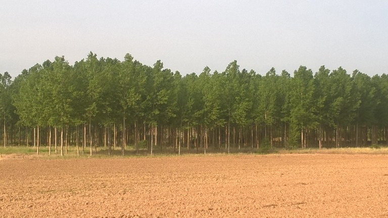 WP_20170622_03_21_10_Pro