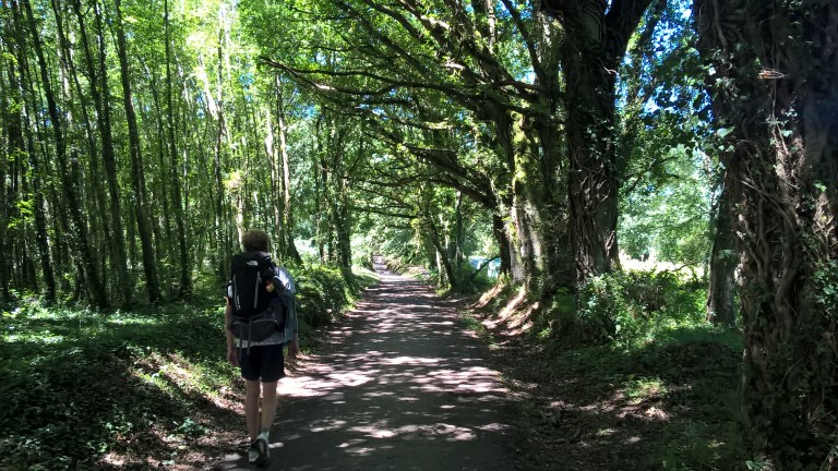 WP_20170702_13_34_24_Pro