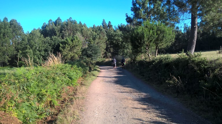 WP_20170703_09_19_21_Pro