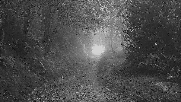 A foggy trail outside of Triacastela on the Camino de Santiago.
