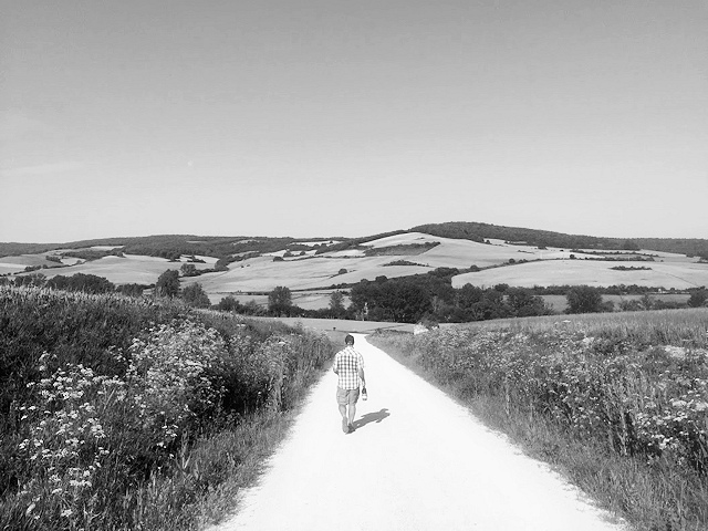 The fertile fields of Castile y Leon.