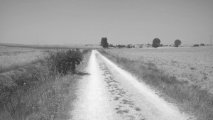 The lonely Meseta on the Camino de Santiago