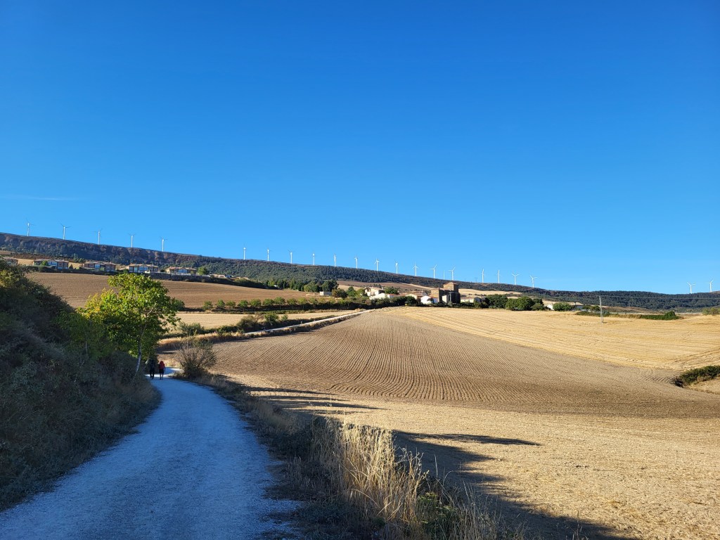 Gravel path winding through wheat fields. A village stands at the end of the path and windmills line the ridge in the distance.