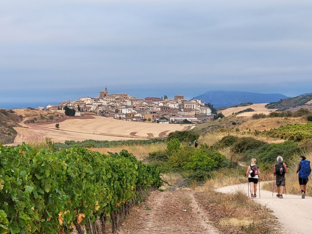 The town of Cirauqui rises out the surrounding fields and watches over the countryside.