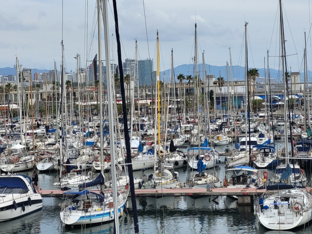 Row after row of sailboats fill Barcelona's marina. The mountain that surround Barcelona are in the distance.