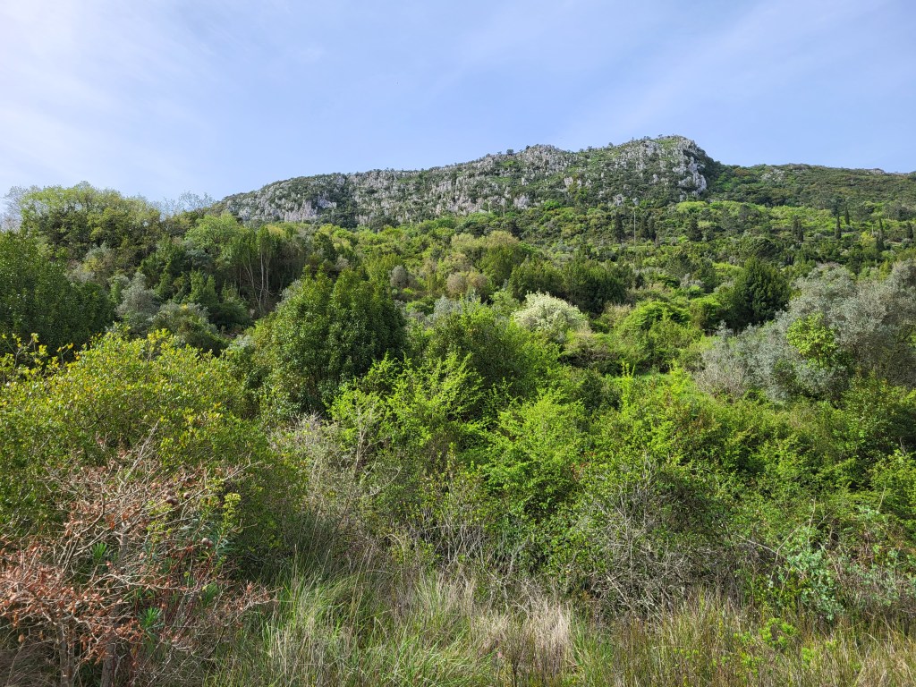 The rocky hillside above Porto de Mós.