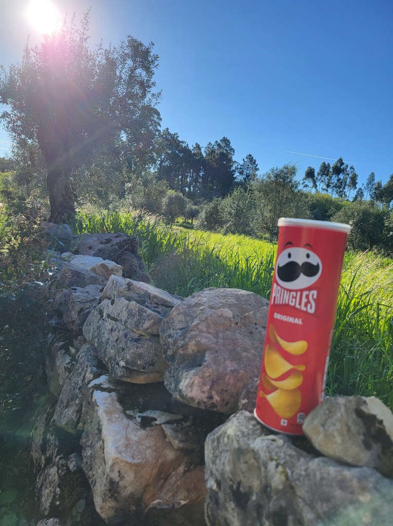 A can of Pringles potato chips sits on top of a rock wall that borders an olive grove.