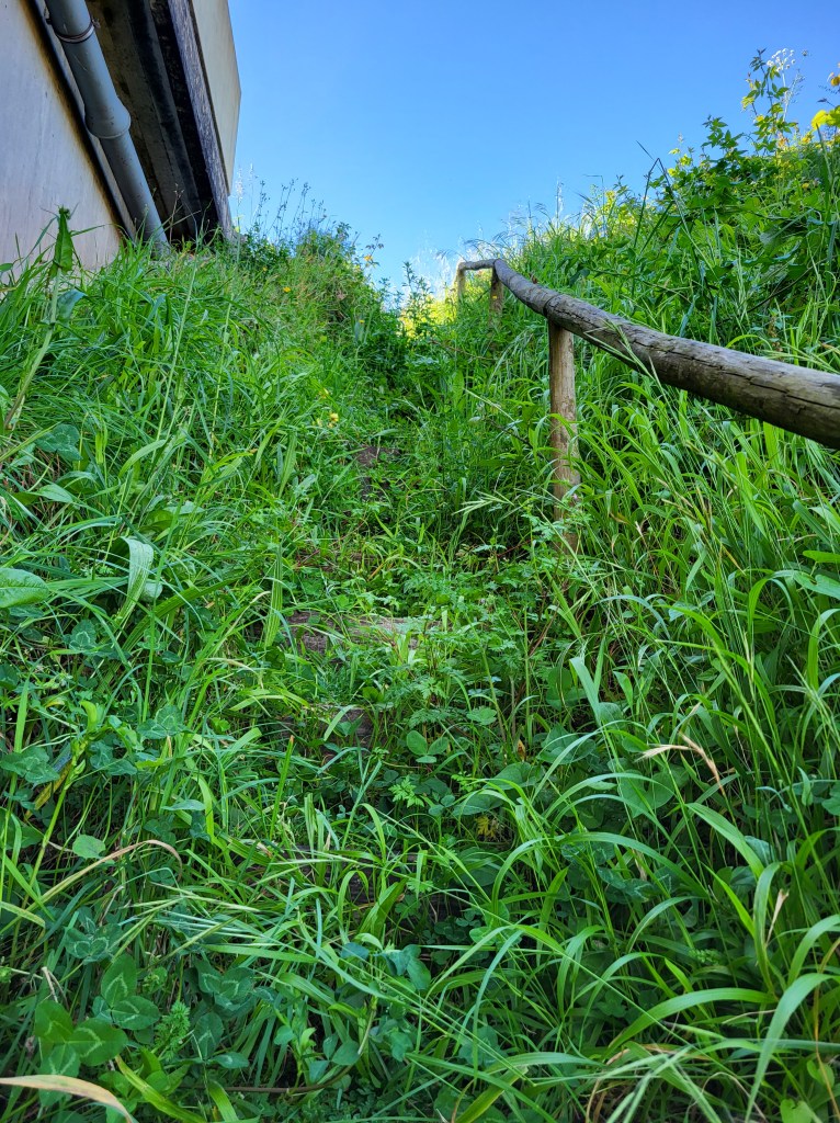 An overgrown path ascends to a highway. An old hand rail borders the path on the right.