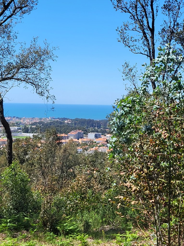 A view of the Atlantic Ocean near Porto, Portugal.