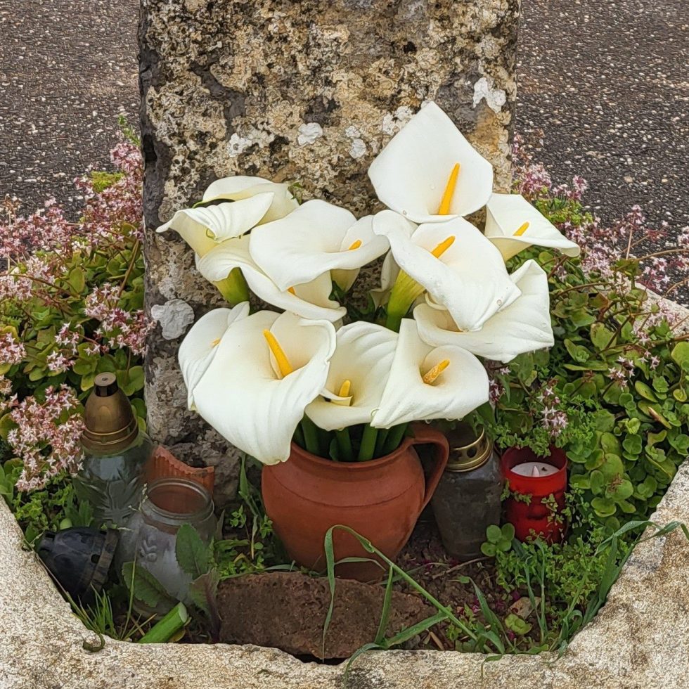A bouquet of lilies.