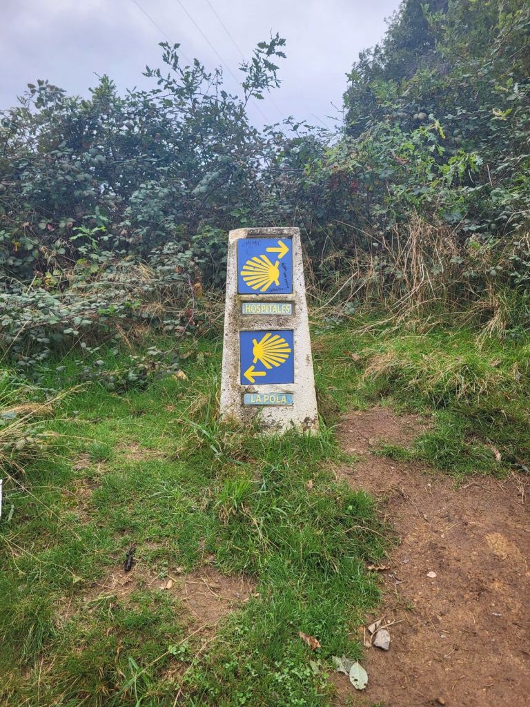 Trail marker showing two options.