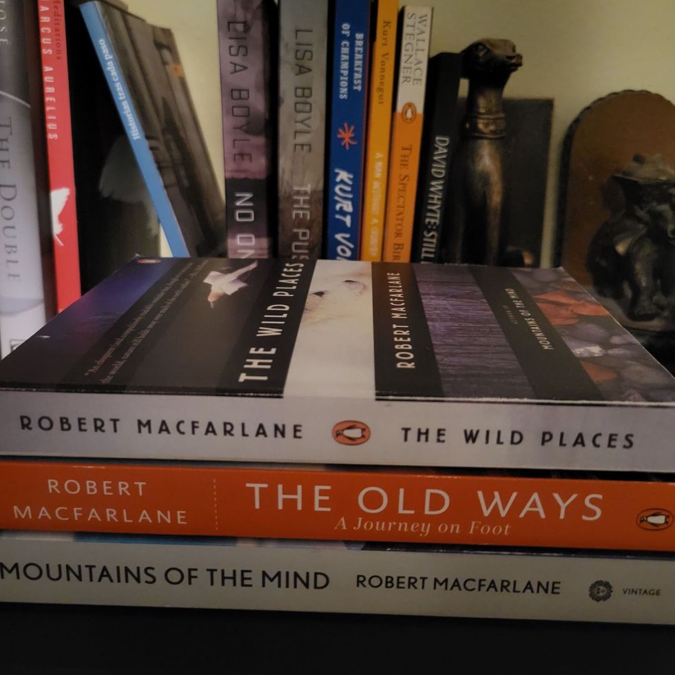 Books on a bookshelf.