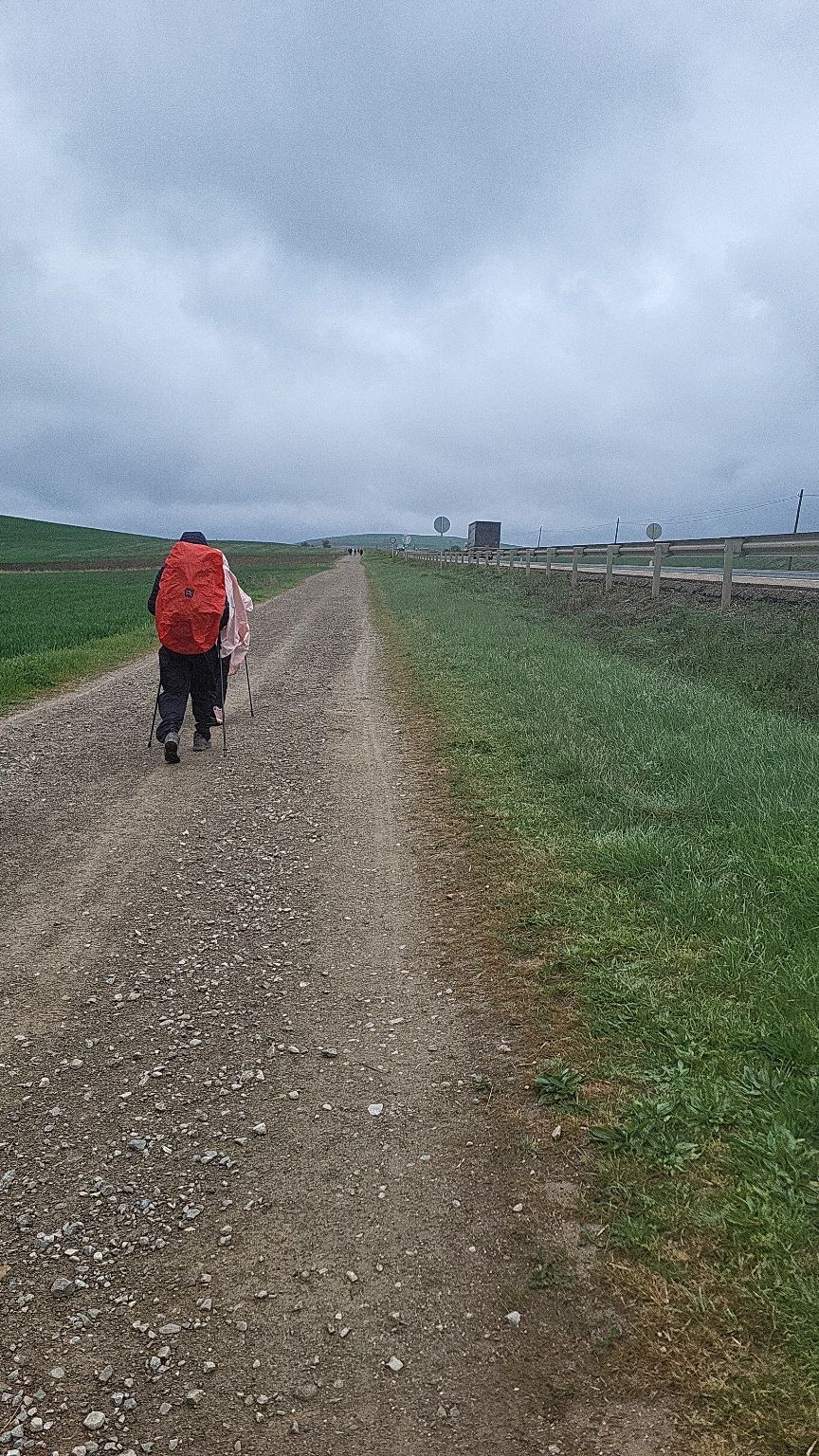 A walking path next to a busy highway.