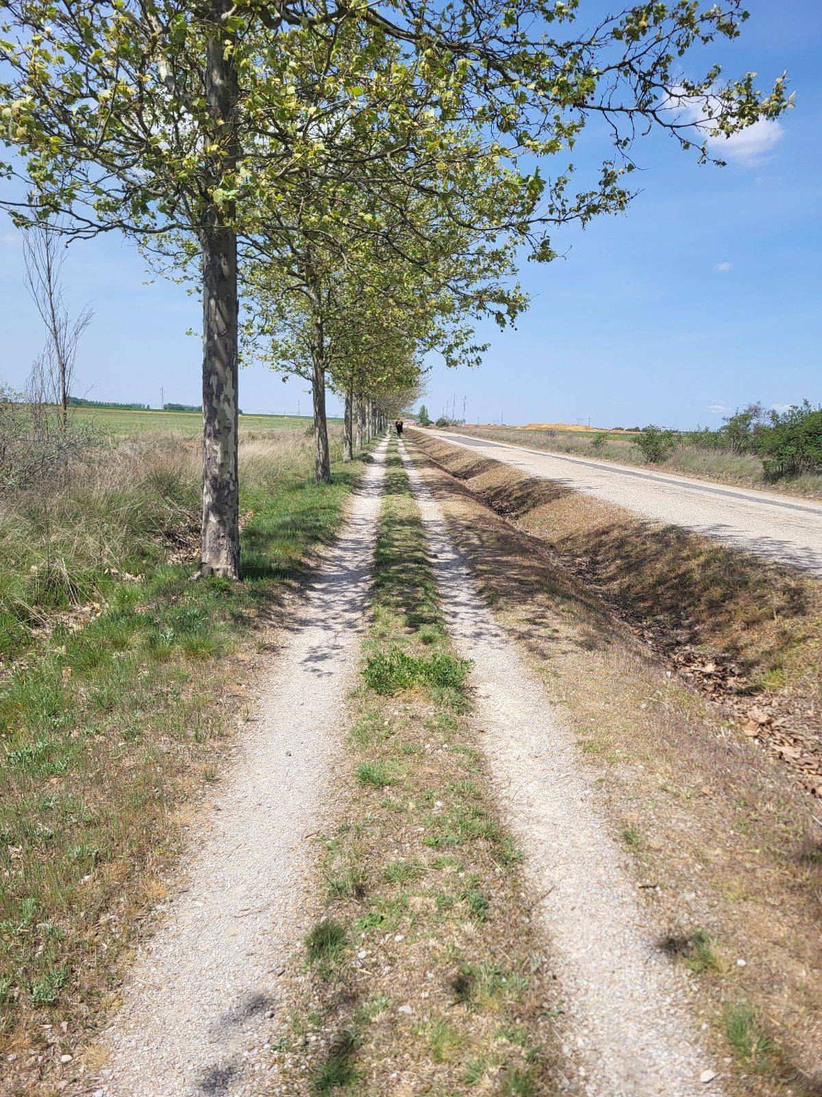 A walking path next to a dirt road.