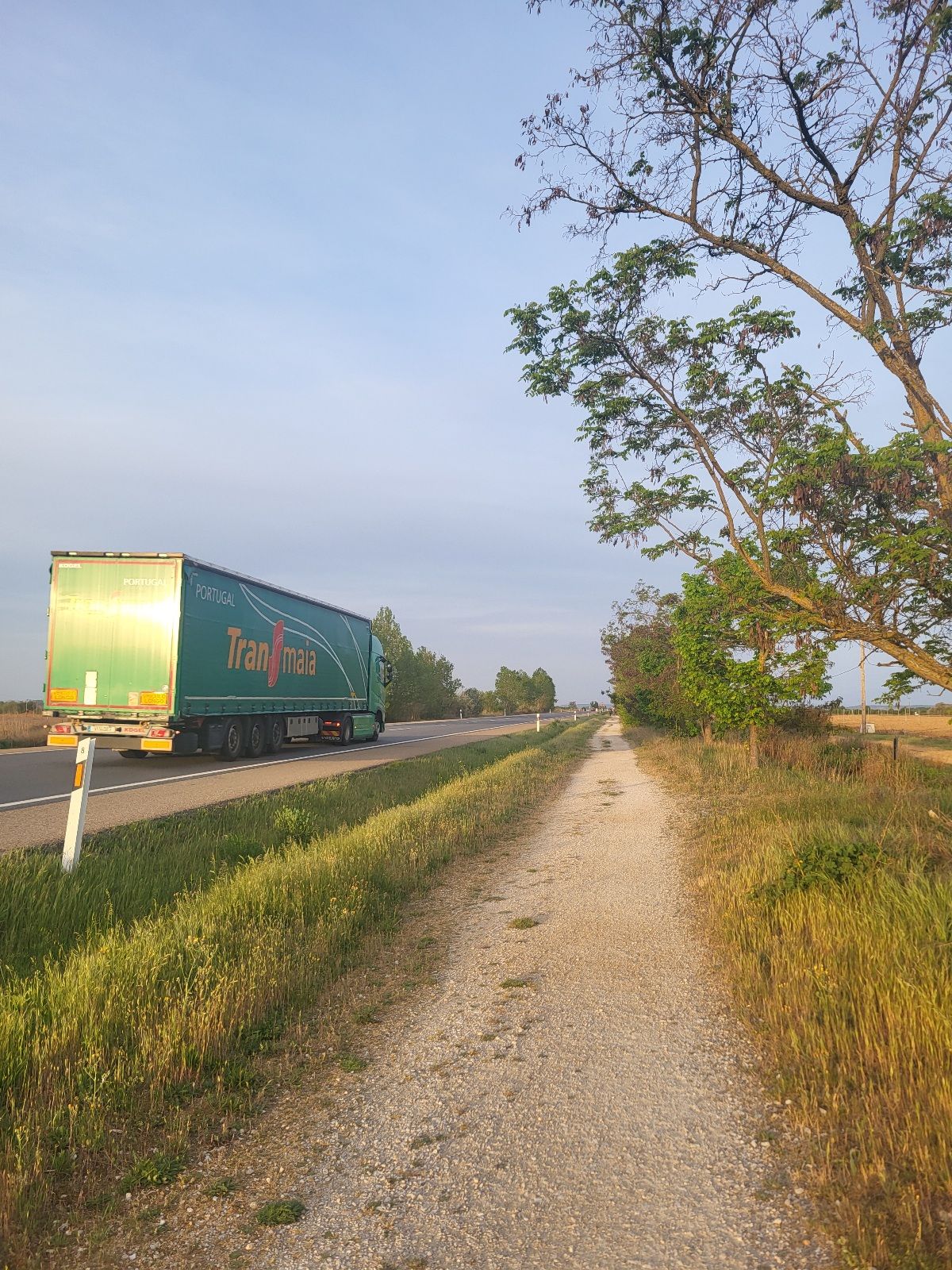 A walking path next to a busy highway.